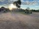 Sprigging